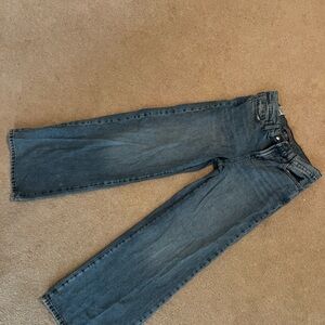 Joe's Jeans low rise wide leg